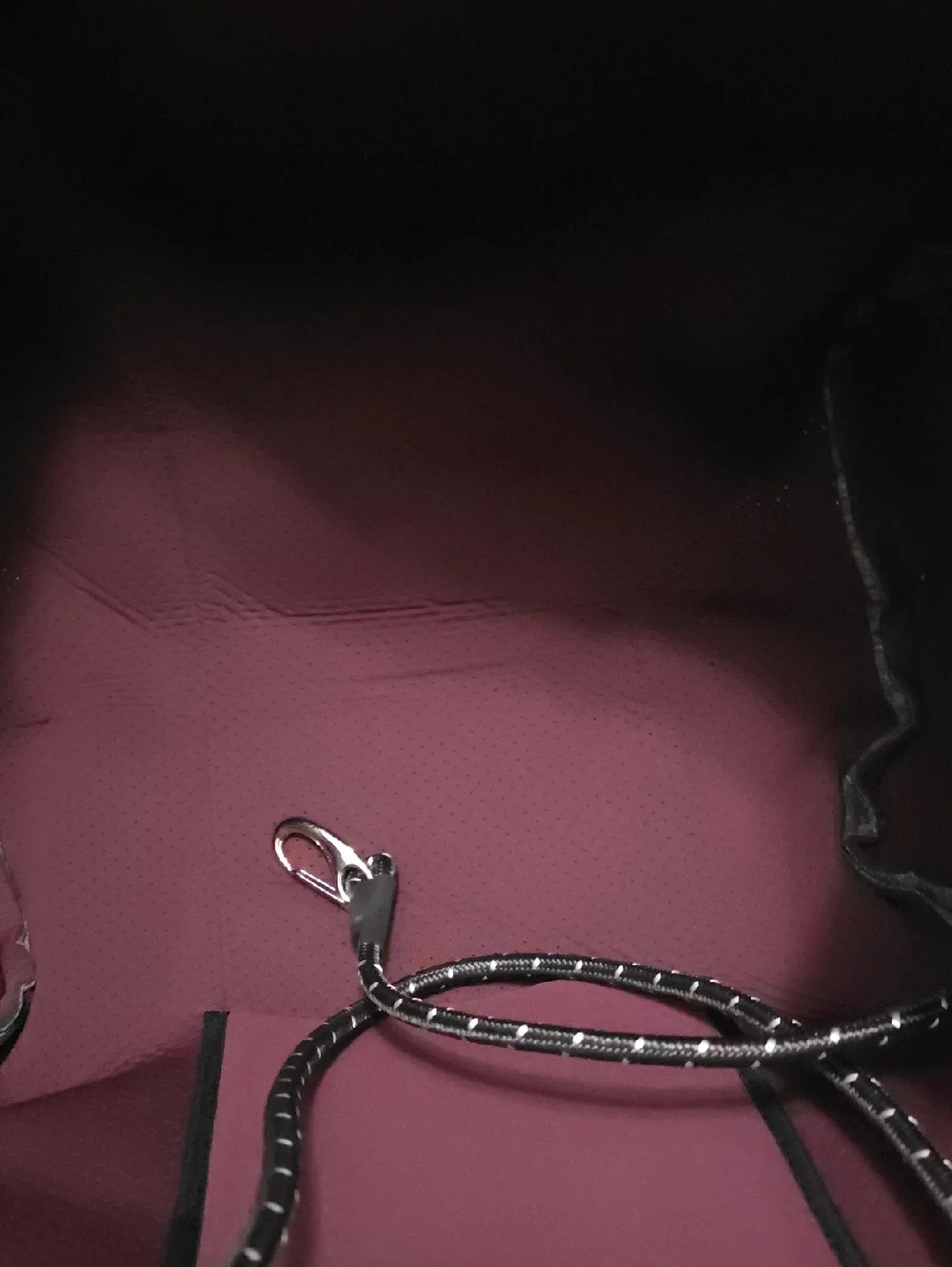 Haute Shore Grey Tote Bag with Burgundy Stripe - Picture 3 of 6